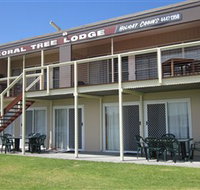 Coral Tree Lodge Tourist Park - Hervey Bay Accommodation