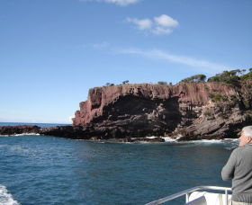 Art On Hart - Tourism Hervey Bay 0