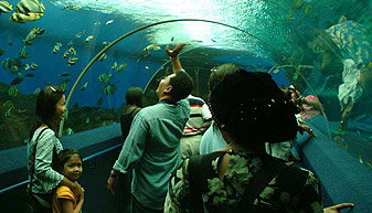 Catalina Resort - Hervey Bay Accommodation 7