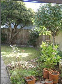 Rose Cottage Bed & Breakfast - Hervey Bay Accommodation 1