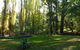 Old England Accommodation - thumb 2