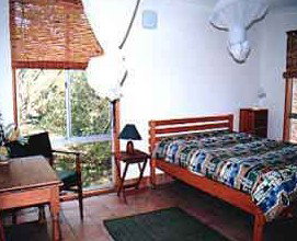 Wonga - Hervey Bay Accommodation 1