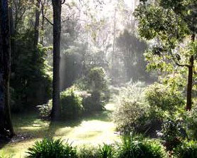 The Bawley Bed And Breakfast - Hervey Bay Accommodation 2