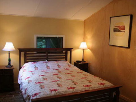 Tree Fern Lodge - Hervey Bay Accommodation 3