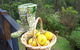 Bellbird Cottage Bed And Breakfast - thumb 4