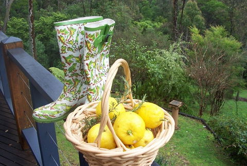 Bellbird Cottage Bed And Breakfast - Hervey Bay Accommodation 4