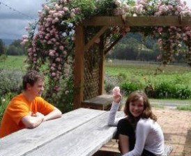 Back Forest Retreat - Hervey Bay Accommodation 1