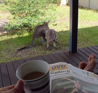 Bush and Bay Cottage - Hervey Bay Accommodation