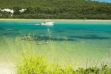 Wooli Camping And Caravan Park - Hervey Bay Accommodation 0