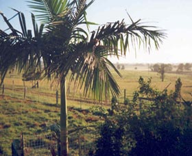Seeview Farmstay - Hervey Bay Accommodation 1