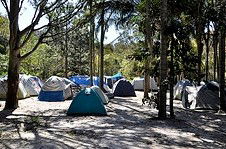 Arts Factory Backpackers Lodge - Tourism Hervey Bay 3