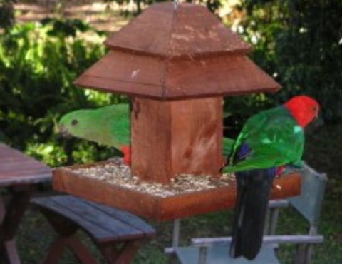 Chauvel Park B And B - Hervey Bay Accommodation 2