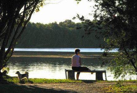 Fishing Haven Caravan Park - Hervey Bay Accommodation 2