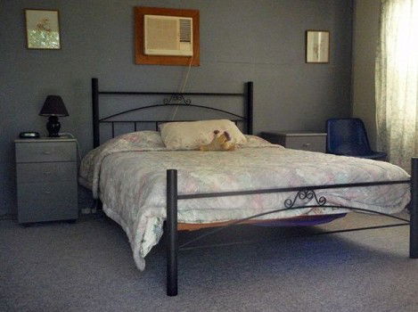 Comeroo Camel Station - Hervey Bay Accommodation 0