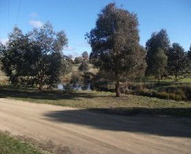 Delegate Caravan Park - Hervey Bay Accommodation 0