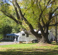 Tumbarumba Creek Caravan Park - Hervey Bay Accommodation