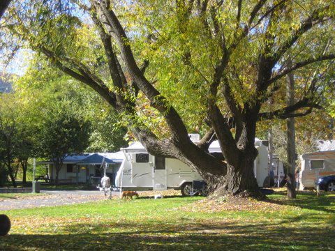 Tumbarumba Creek Caravan Park - Hervey Bay Accommodation 0