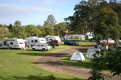 Dawson River Tourist Park - Hervey Bay Accommodation 1