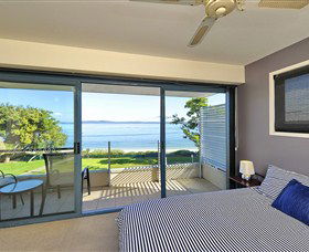 Dolphins - Hervey Bay Accommodation 0