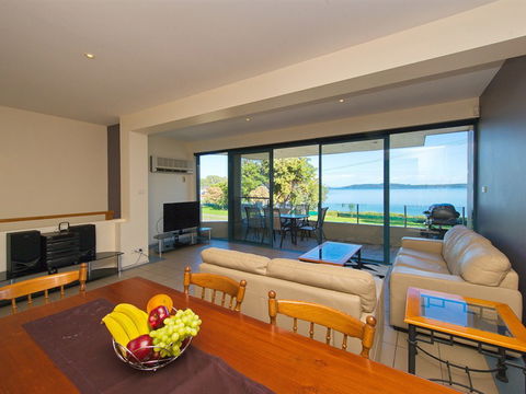 Dolphins - Hervey Bay Accommodation 1