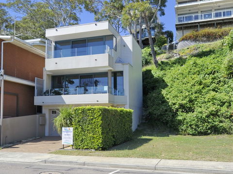 Dolphins - Hervey Bay Accommodation 2