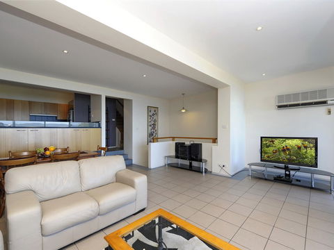 Dolphins - Hervey Bay Accommodation 3