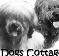 2 Dogs Cottages - Hervey Bay Accommodation