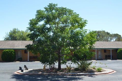 Hilltops Retreat Motor Inn - Tourism Hervey Bay 6