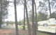 The Kelpie Caravan Park - thumb 0