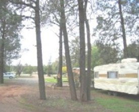 The Kelpie Caravan Park - Hervey Bay Accommodation 0