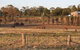 Junee Motor Inn - thumb 2