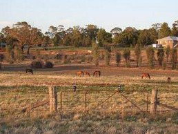 Junee Motor Inn - Hervey Bay Accommodation 2