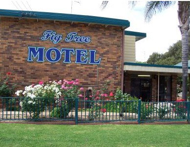 Fig Tree Motel - Hervey Bay Accommodation 0