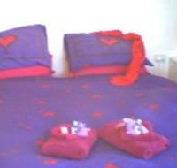 Aloomba Lavender - Accommodation - Hervey Bay Accommodation