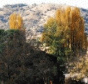 Birches Bed and Breakfast at Nundle - Hervey Bay Accommodation