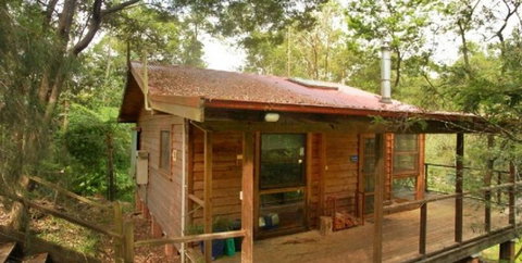 Bluegums Cabins - Hervey Bay Accommodation 1