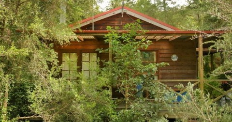 Bluegums Cabins - Hervey Bay Accommodation 2