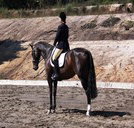 Apptrak Stud - Hervey Bay Accommodation