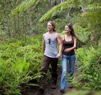 Blackheath Glen Tourist Park - Hervey Bay Accommodation