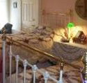 A Winter-Rose Cottage Bed and Breakfast - Hervey Bay Accommodation