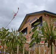 Atlas Motel Dubbo - Hervey Bay Accommodation