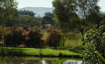 Amazing Country Escapes - Evanslea By The River - Tourism Hervey Bay 4