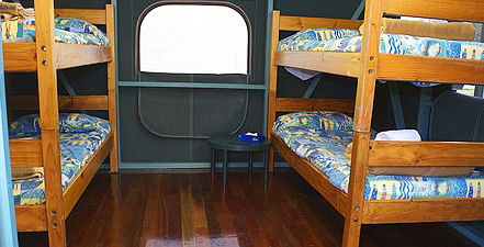 Lady Elliot Island Eco Resort - Hervey Bay Accommodation 5