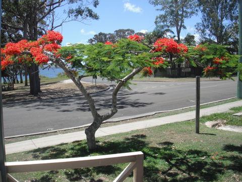 Kingfisher Caravan Park - Hervey Bay Accommodation 4