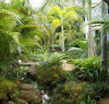 Chamomile Bed and Breakfast - Hervey Bay Accommodation