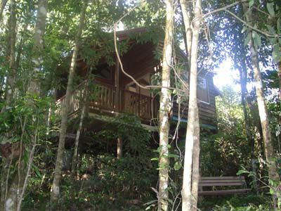 Adjinbilly Rainforest Retreat Cabins - Hervey Bay Accommodation 0