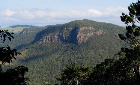 Arborlee Rainforest Retreat - Tourism Hervey Bay 3