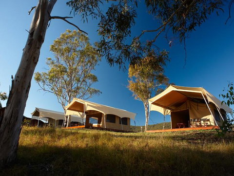 Spicers Canopy - Hervey Bay Accommodation 3
