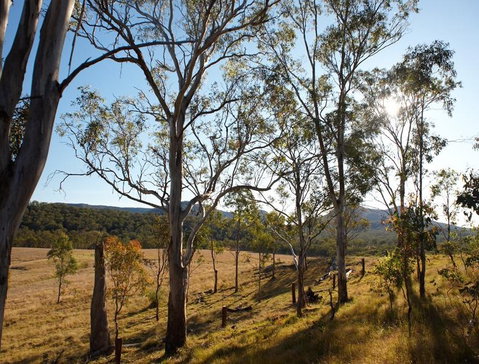 Spicers Canopy - Hervey Bay Accommodation 4