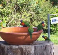 Lamb Island Bed and Breakfast - Hervey Bay Accommodation